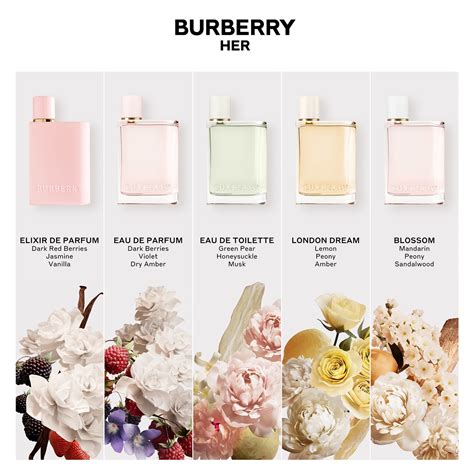 burberry her eau de parfum travel spray|Burberry perfume price list.